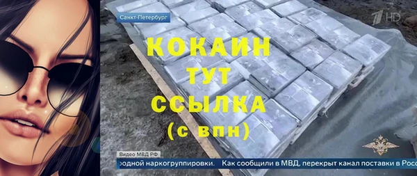 стаф Алексин