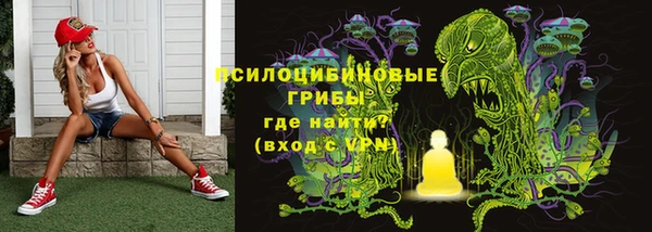 ECSTASY Алзамай