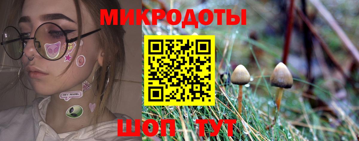 Галлюциногенные грибы Psilocybine cubensis Куйбышев